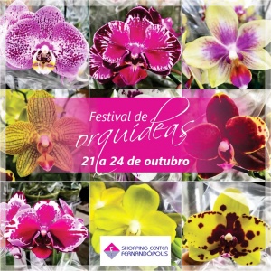 Festival de Orquídeas