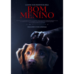 BOM MENINO (GRUPO PARIS FILMES) – 2D DUB